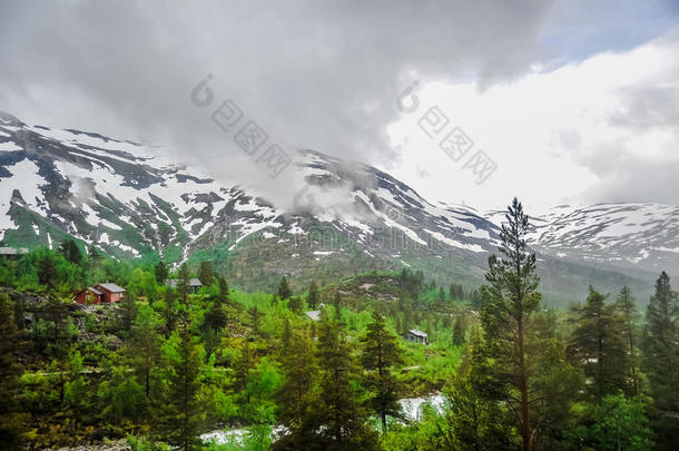 美丽的风景和风景看法关于挪威,绿色的风景关于