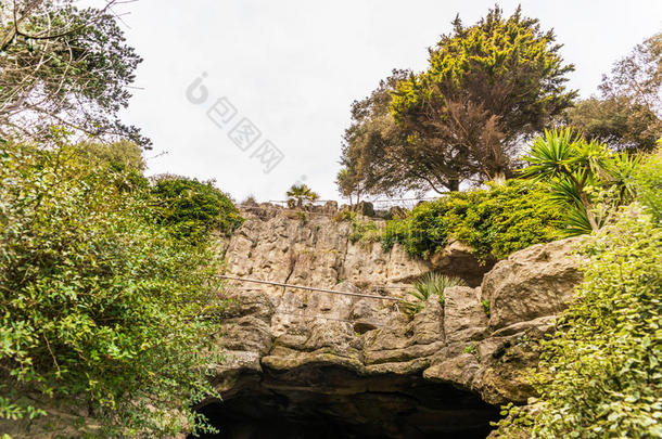 旅行者路,强大的岩石和植物,岩石洞穴,一位情报人员