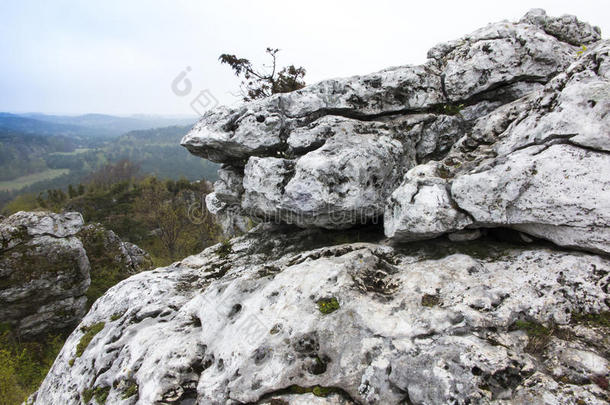 石灰岩悬崖采用=KrakówCzÄ斯托乔瓦高原地区采用polesice