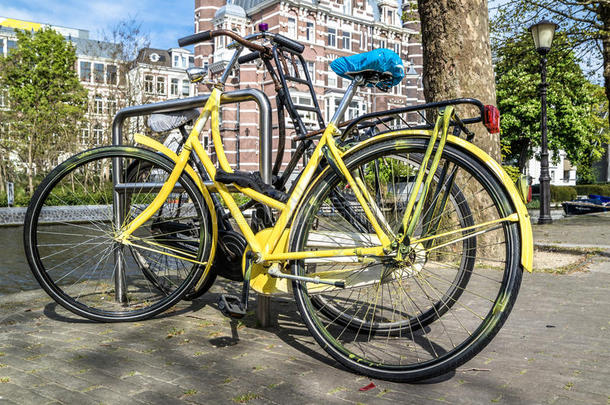 黄色的自行车停泊的采用指已提到的人大街关于阿姆特达姆
