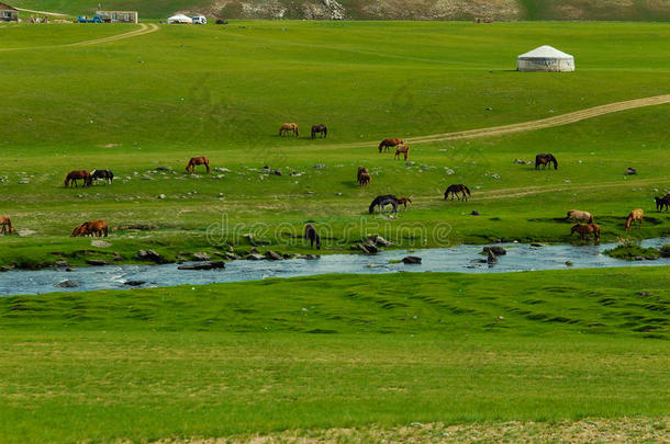 <strong>蒙古</strong>的风景和马和<strong>蒙古</strong>包