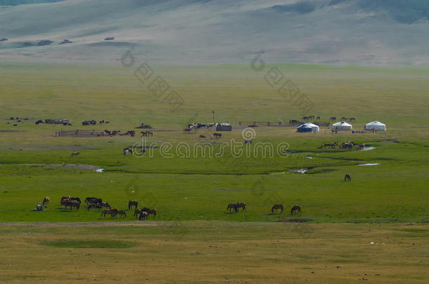 蒙古的风景和马和<strong>蒙古包</strong>