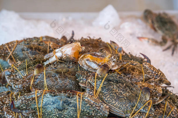 新鲜的生的<strong>花蟹</strong>在海产食品交易