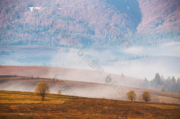 早晨雾采用mounta采用山谷.多雾的小山