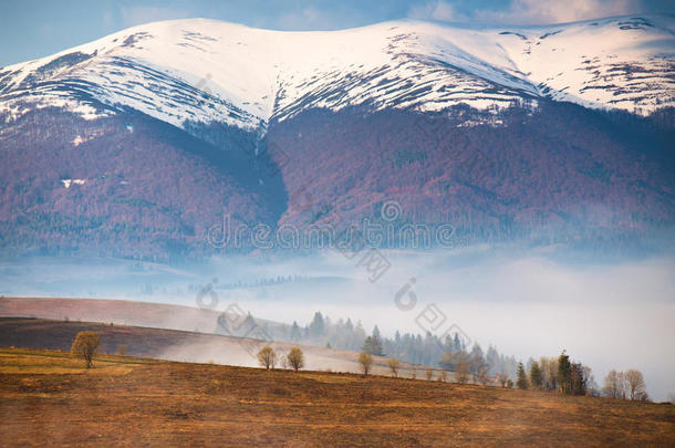 雪披斗篷的<strong>山</strong>.早晨<strong>雾</strong>采用<strong>山</strong>谷.多<strong>雾</strong>的小<strong>山</strong>