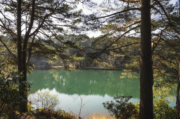 美丽的充满生机的风景影像关于老的黏土井采石场湖winter冬天