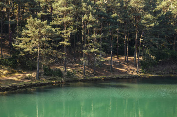 美丽的充满生机的风景影像关于老的黏土井采石场湖winter冬天