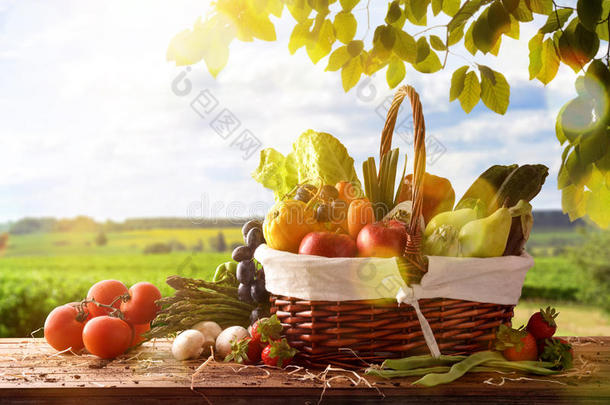 成果和蔬菜向表和农作物l和scape背景