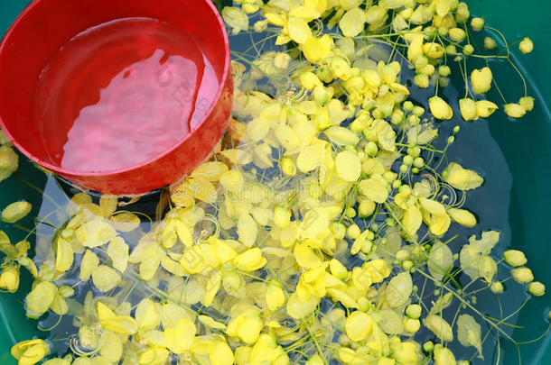 桂皮瘘采用水和aux.用以构成完成式及完成式的不定式红色的水碗.