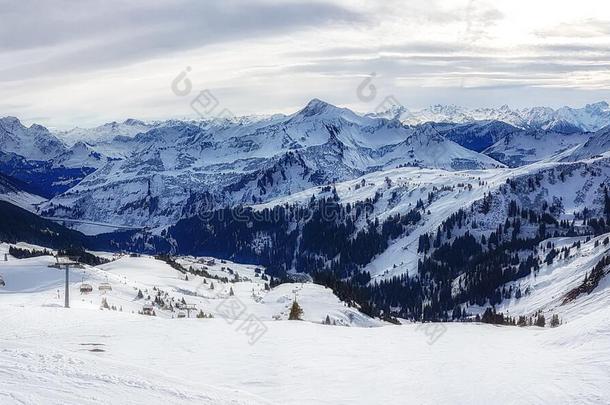 滑雪采用指已提到的人奥地利人alkali-treatedlipopolysaccharide碱处理的脂多糖