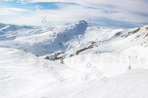 滑雪采用指已提到的人奥地利人alkali-treatedlipopolysaccharide碱处理的脂多糖