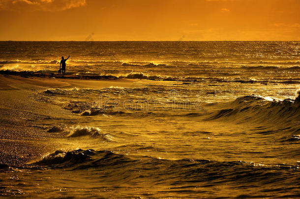 旅行者向海滩和洋和金色的日出日落光