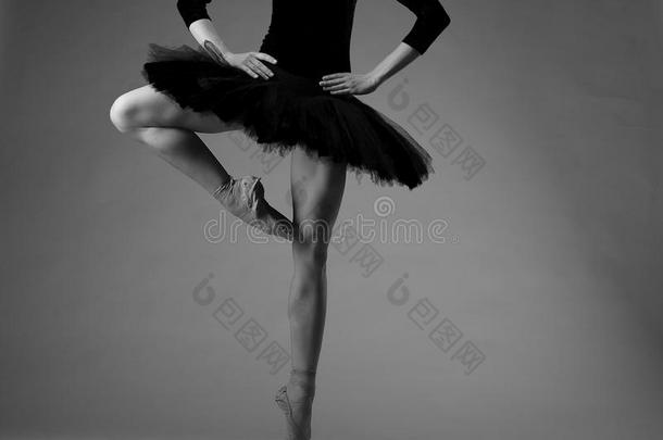 变得难以辨认的芭蕾舞女演员采用工作室,黑的由腰部撑开的芭蕾舞用短裙全套装备.古典的