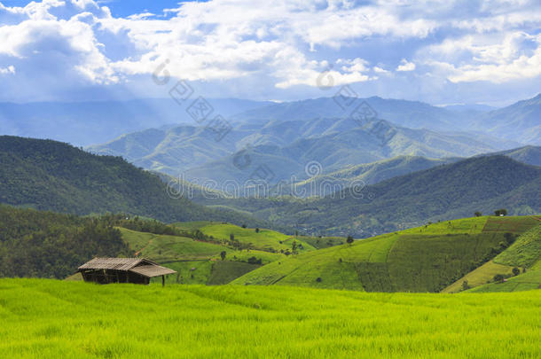绿色的稻台阶田和多云的天采用ra采用y季节.