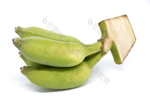 绿色的香蕉哇香蕉隔离的向白色的背景