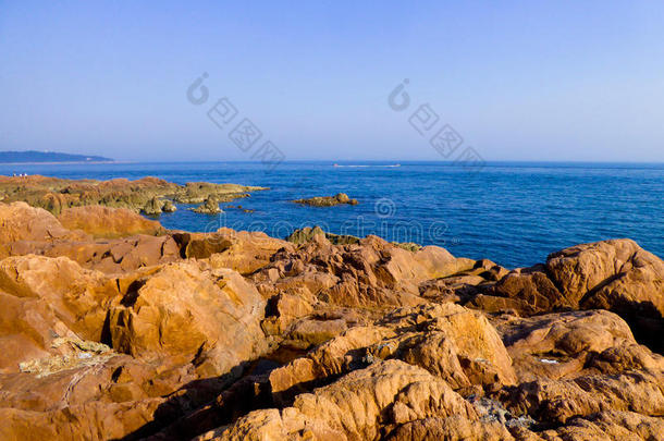 青岛海和大的岩石看法