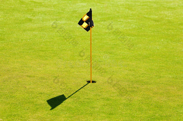 洞和旗在上面放置绿色的向高尔夫球课程