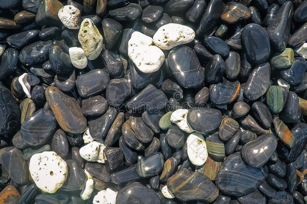 抽象的背景和黑的和灰色海鹅卵石-圆形的海