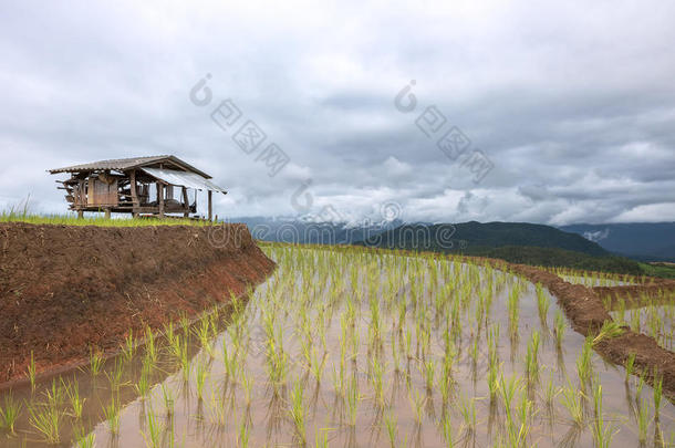 台地的稻田和小屋和山<strong>背景</strong>,<strong>城</strong>镇妈