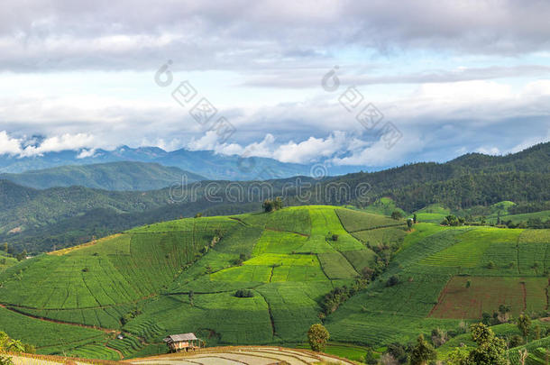 台地的稻田和小屋和山<strong>背景</strong>,<strong>城</strong>镇妈