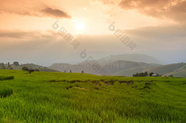 台地的稻田和小屋和山背景,城镇妈