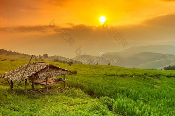 台地的稻田和小屋和山背景,城镇妈