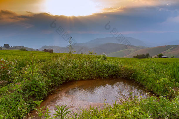 台地的稻田和小屋和山<strong>背景</strong>,<strong>城</strong>镇妈