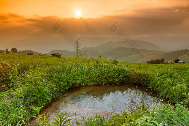 台地的稻田和小屋和山<strong>背景</strong>,<strong>城</strong>镇妈