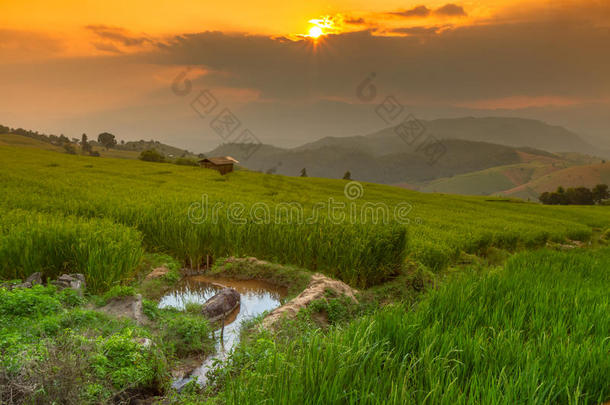 台地的稻田和小屋和山<strong>背景</strong>,<strong>城</strong>镇妈