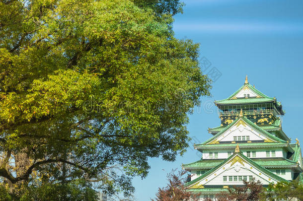 大阪城堡和蓝色天和绿色的大大地树在大阪黑色亮漆一
