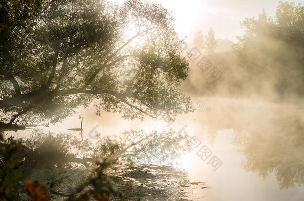 极好的有雾的河和美好的反映采用指已提到的人阳光