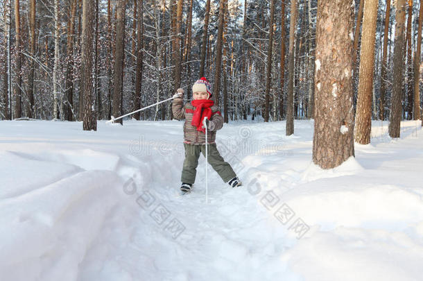 幸福的小的男孩和红色的围巾使摆姿势向滑雪