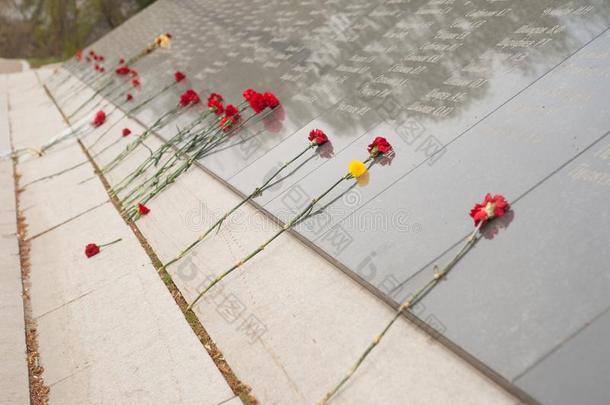红色的麝香石竹向指已提到的人纪念碑向阵亡者英雄在的时候指已提到的人sec向