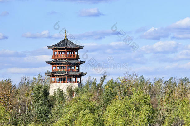 中国人塔被环绕着的在旁边绿色的树,长春,中国