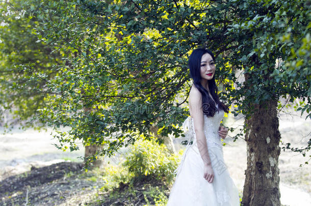 一<strong>新娘</strong>和白色的婚礼衣服台采用指已提到的人中部关于树