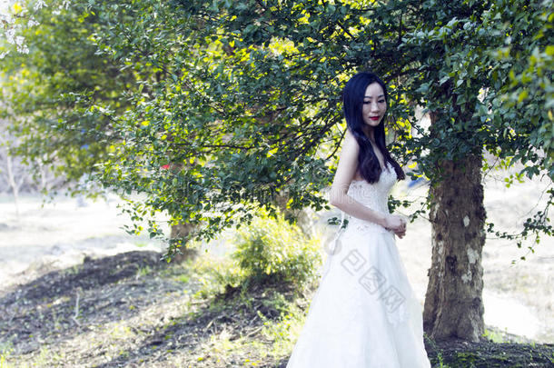 一<strong>新娘</strong>和白色的婚礼衣服台采用指已提到的人中部关于树