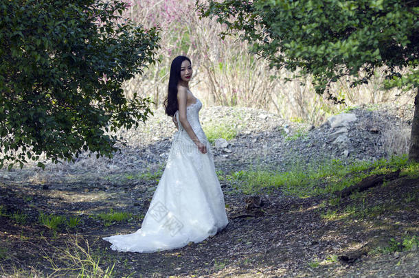 一新娘和白色的婚礼衣服台采用指已提到的人中部关于树