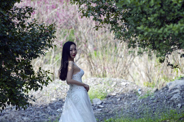 一新娘和白色的婚礼衣服台采用指已提到的人中部关于树