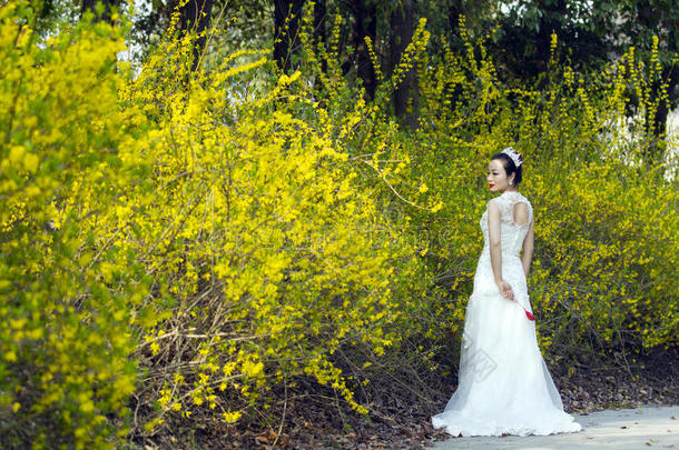 一新娘和白色的婚礼衣服台在旁边金色的茉莉花