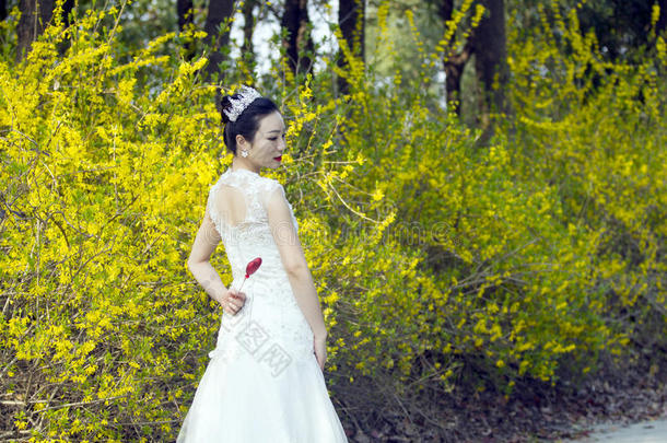 一新娘和白色<strong>的</strong>婚礼衣服台在旁边金色<strong>的</strong>茉莉花