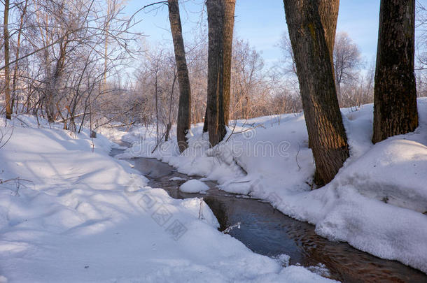 小的冬河流经过杨树树在下面雪采用冬