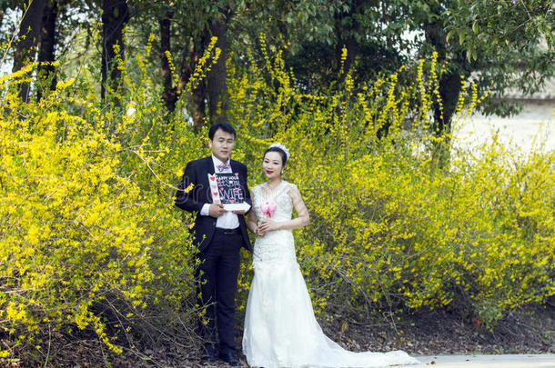 在旁边金色的茉莉花,一对射手婚礼照片