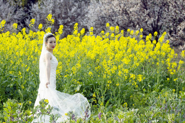 新娘和白色的婚礼衣服采用花田