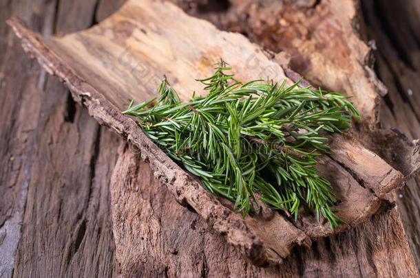 迷迭香<strong>草本</strong>植物和医学的<strong>草本</strong>植物.有机的康复<strong>草本</strong>植物.新鲜的