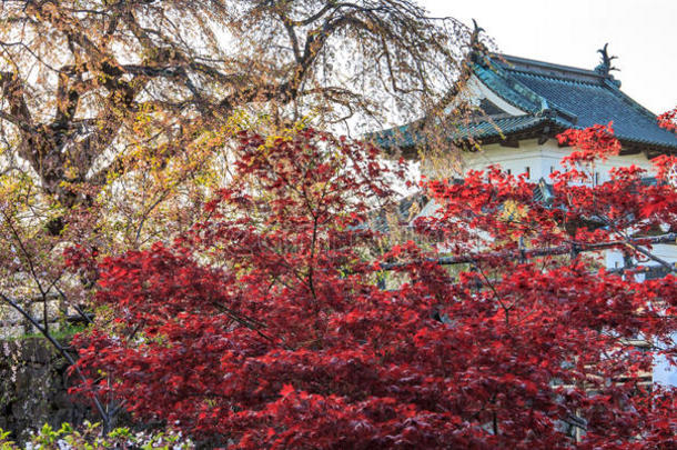 弘前城堡采用弘前,青森,涂漆