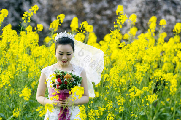 新娘节肢动物和白色的婚礼衣服采用油菜花田