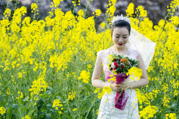 新娘节肢动物和白色的婚礼衣服采用油菜花田