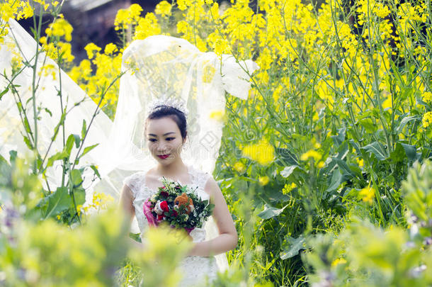 新娘节肢动物和白色的婚礼衣服采用油菜花田