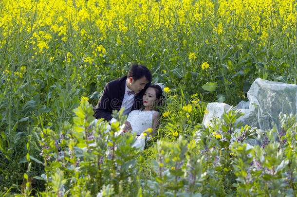 中国人对婚礼节肢动物采用油菜花田