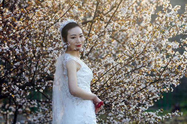 新娘节肢动物和白色的婚礼衣服采用前面关于樱桃衬衫